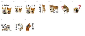 【作成します！LINEスタンプ】うちの子スタンプ