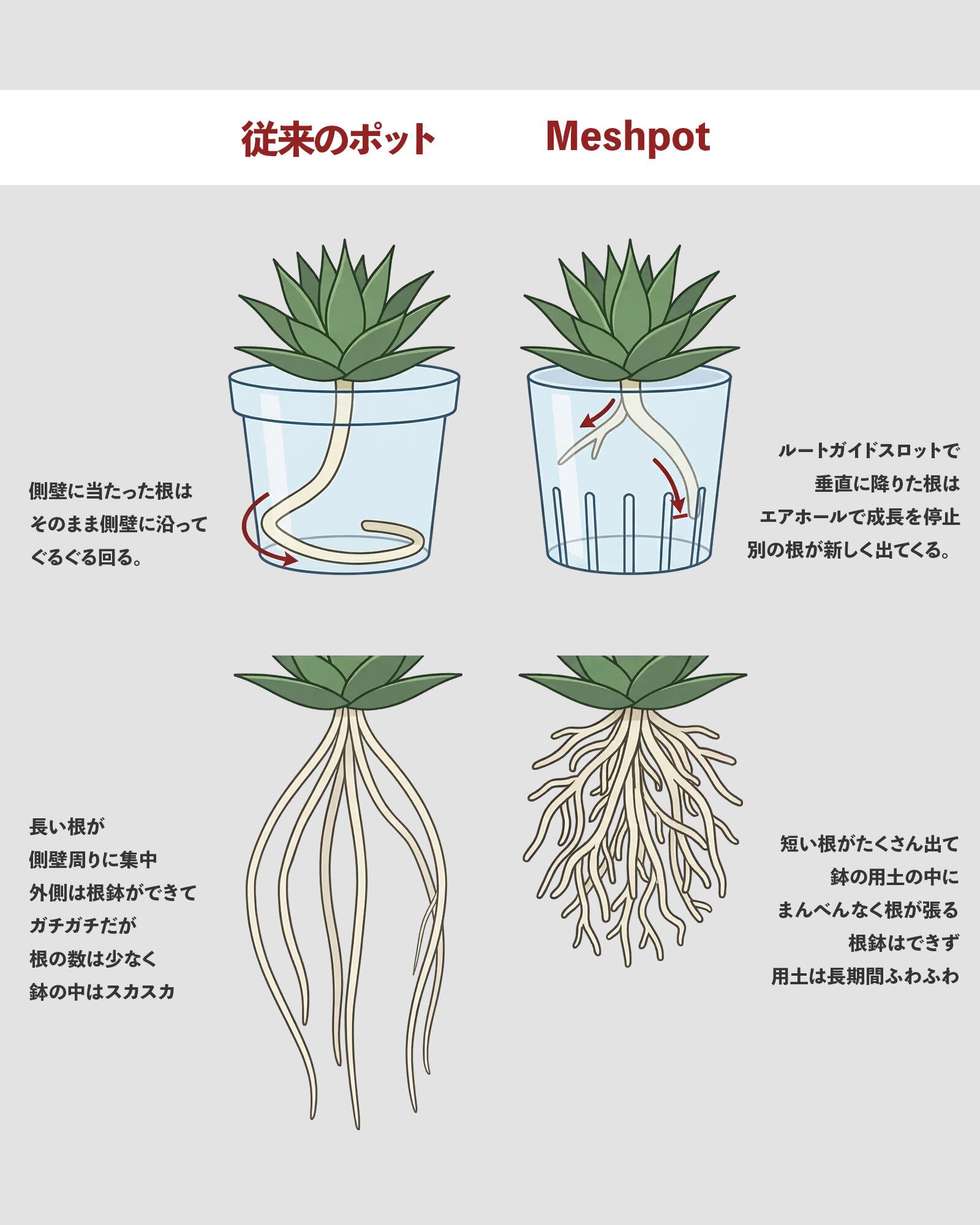 Meshpot STANDARD 10cm ブラック | PUKUBOOK SUCCULENTS