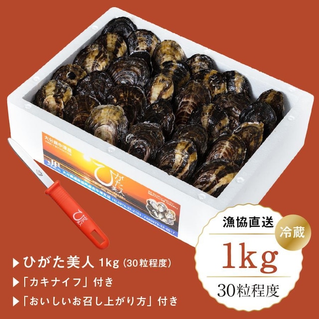 生牡蠣　ひがた美人 1ｋｇ（30粒程度）【冷蔵】／漁協直送