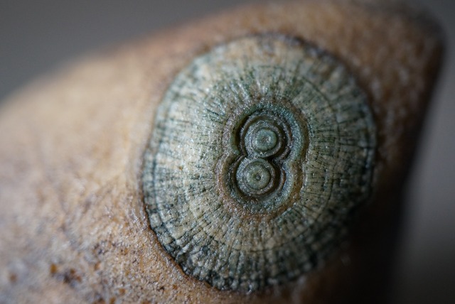 ゴビアゲート Gobi Agate 1130