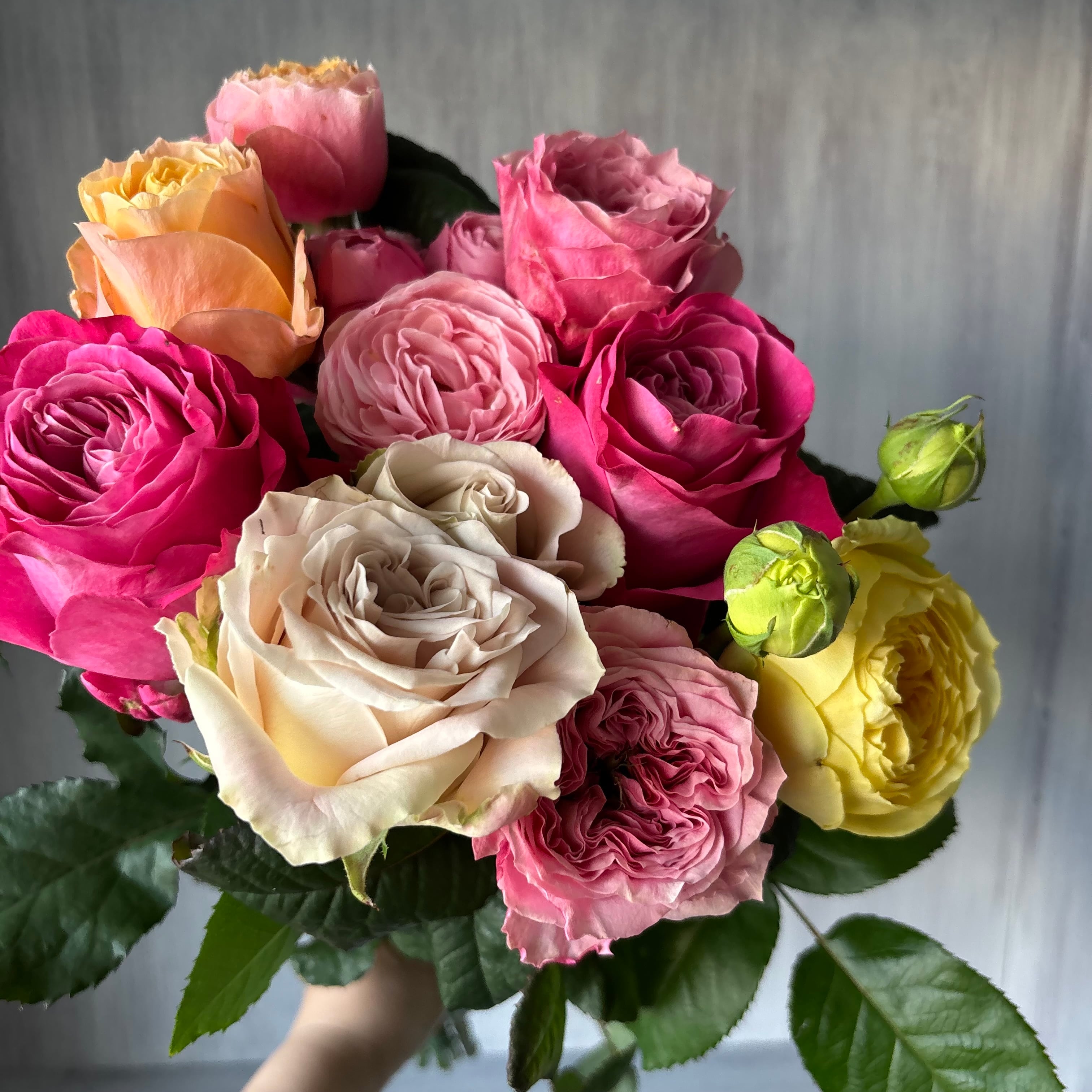 バラ類 | 新鮮お花問屋 Jp-Farmers.com