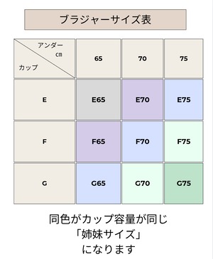 ブラジャー