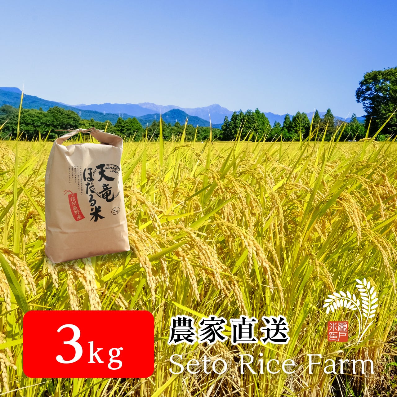 R7年度】減農薬 風さやか 3kg あっさりとした食感が女性に好評