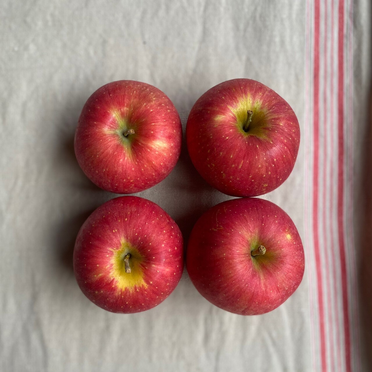 減農薬のりんご シナノスイート 1kg【扇屋農園】