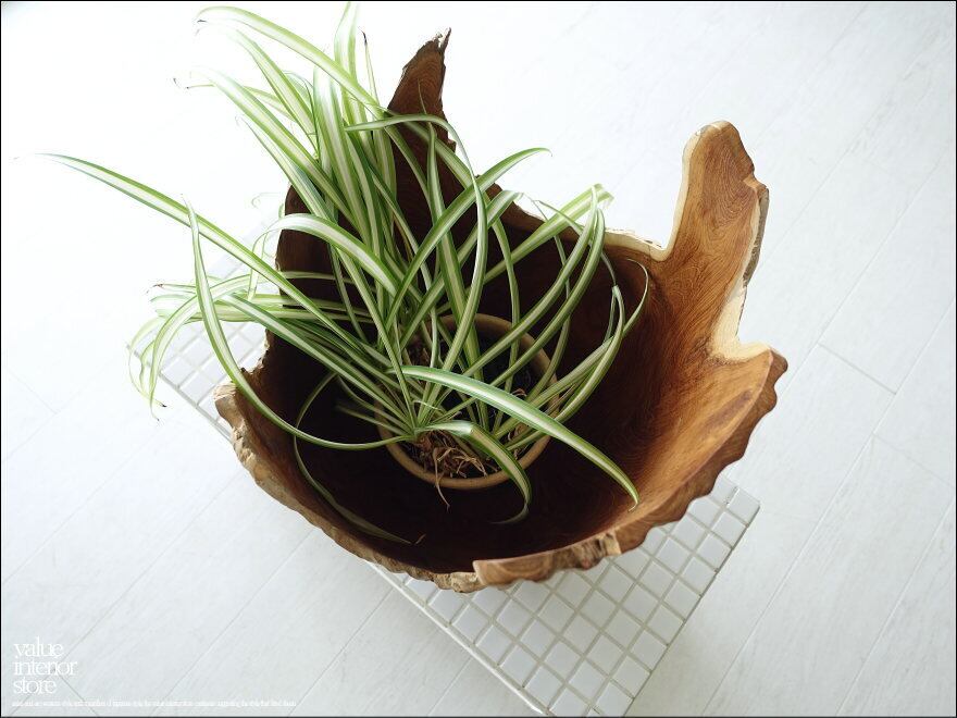 プリミティブ鉢カバーPrim プランツカバー 木鉢 プランツポット 樹鉢