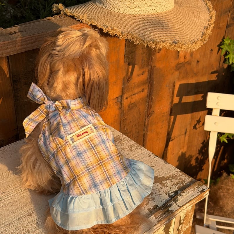 チェックとリボン襟のワンピース 犬服 01239