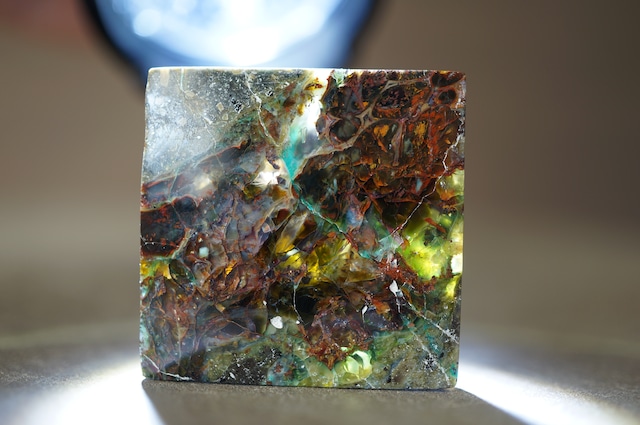 インドネシア産珪化木/クリソコラ/自然銅 Petrified Wood with Blue Opal and Native Copper 2034