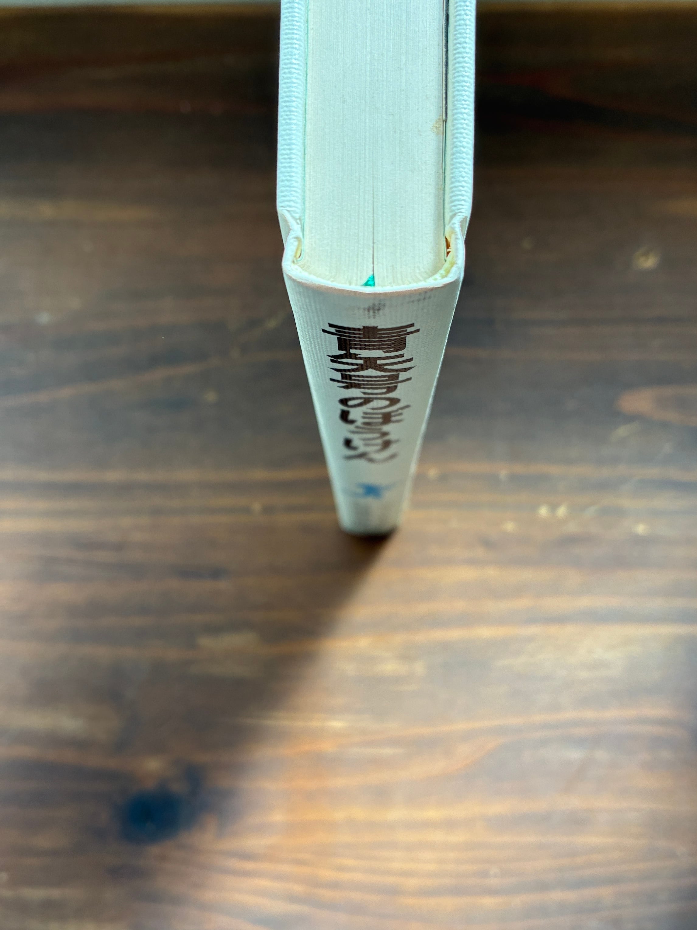 青矢号のぼうけん(岩波ものがたりの本1)