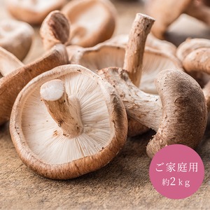 ご家庭用【2kg以上】しいたけ