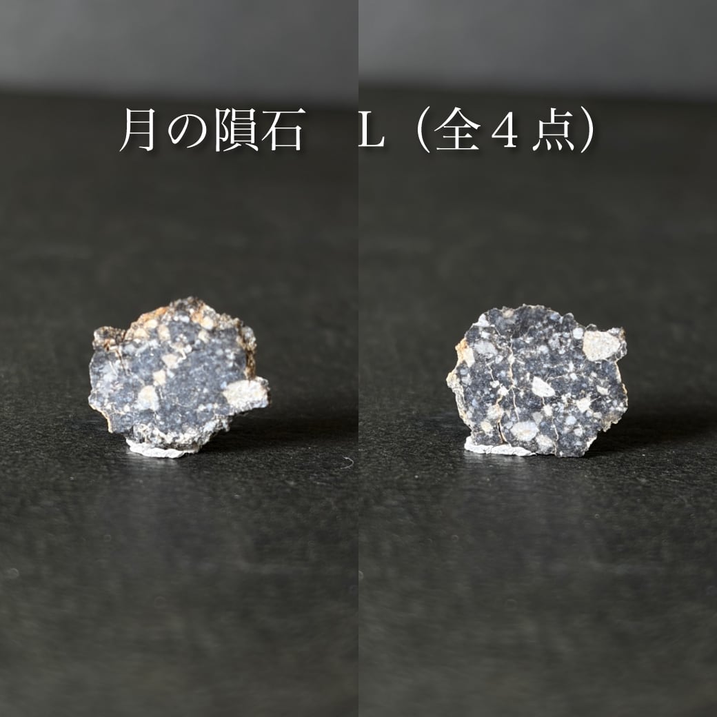 月の隕石☆確定】おまかせ隕石（お一人様1点まで） | 【隕石屋