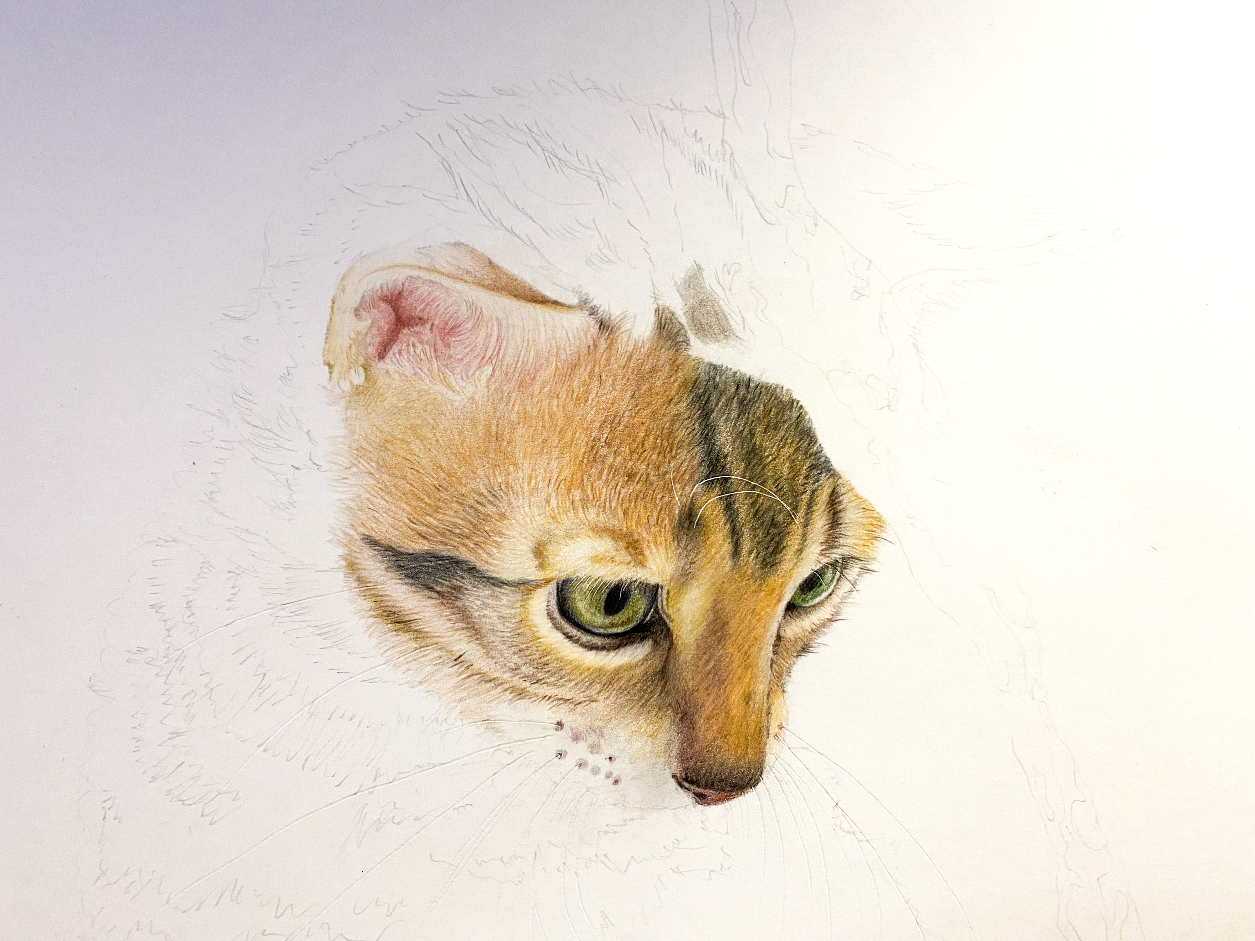 オーダー注文_A4サイズ