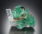 アクアマリン / フローライト / フェルスパー【Aquamarine with Fluorite on Feldspar】ナミビア産