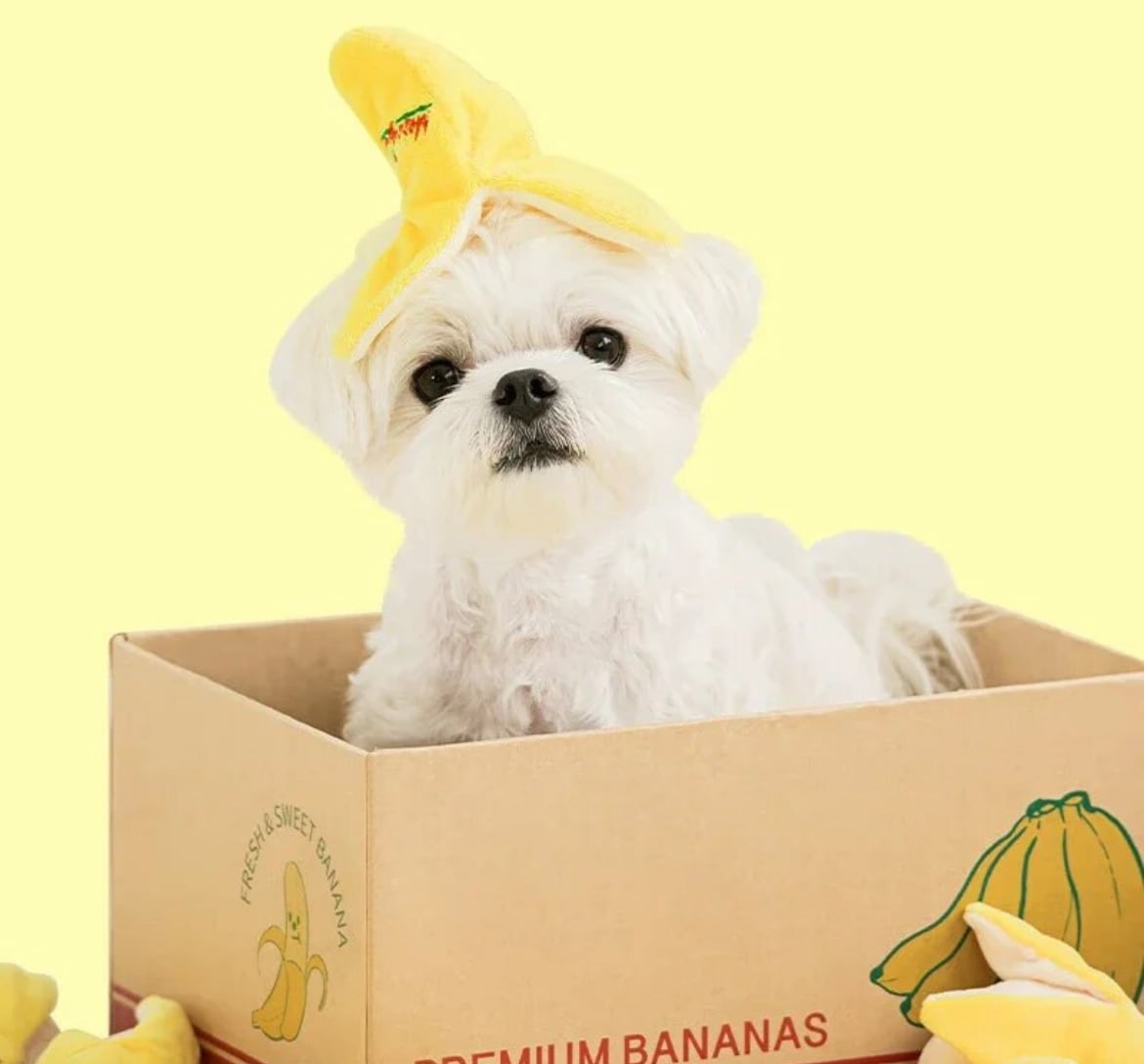 バナナちゃん❤︎ | vivistore