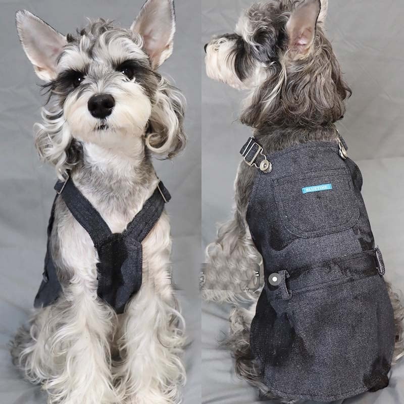 犬服 パンダ デニムサロペットワンピース 見本 犬服パンダデニム