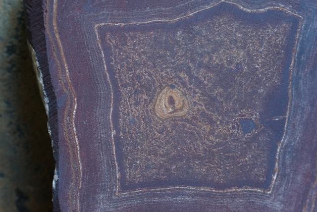 ゴビアゲート スラブ  Gobi Desert Eye Agate 2