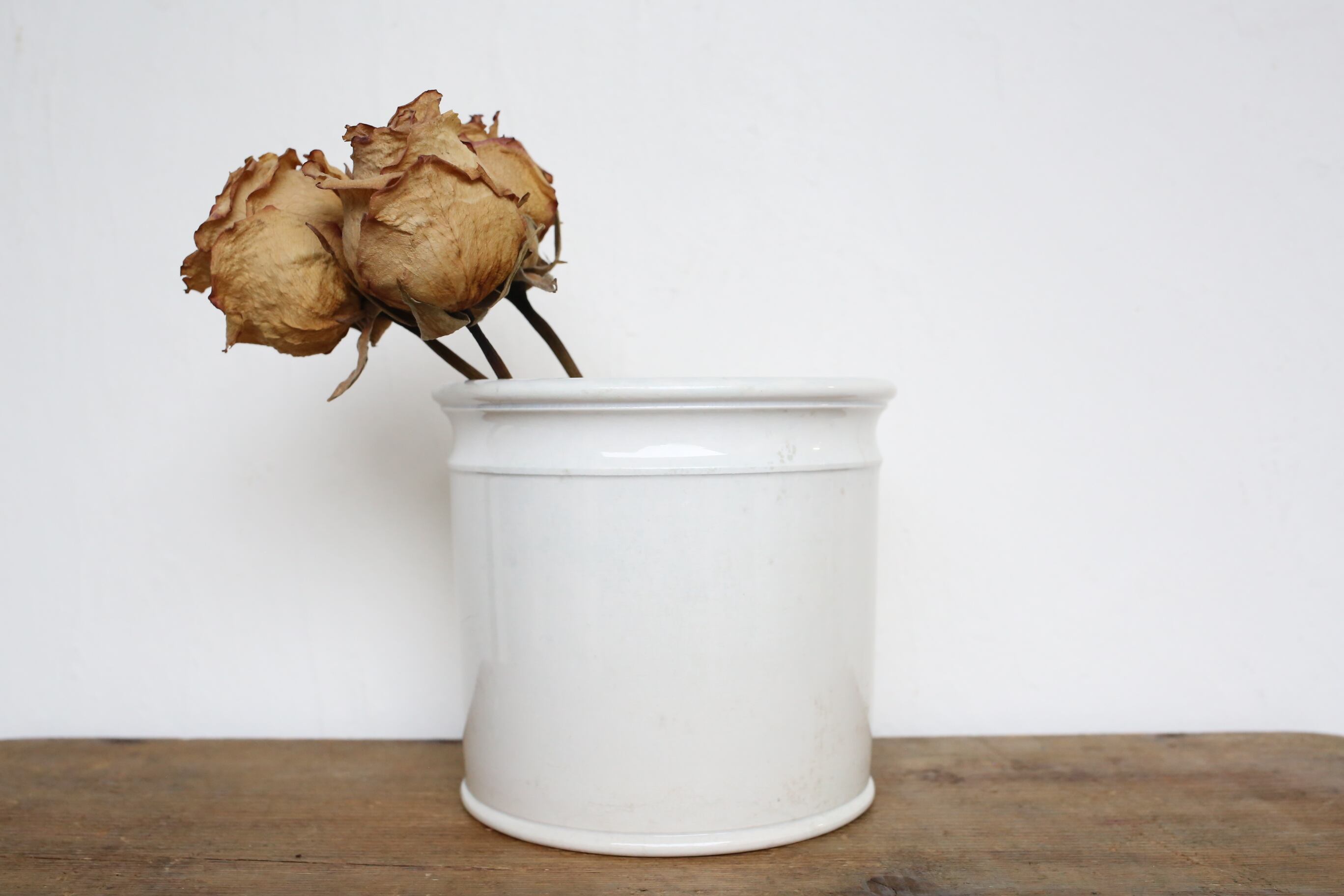 フランス アンティーク ヴィンテージ DIGOIN&SARREGUEMINES ディゴワン サルグミンヌ ポット (大)