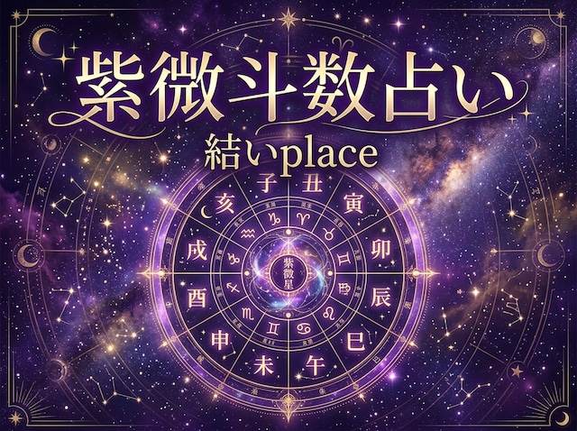 紫微斗数 PDF鑑定書（命盤・十二宮／A4全6ページ）