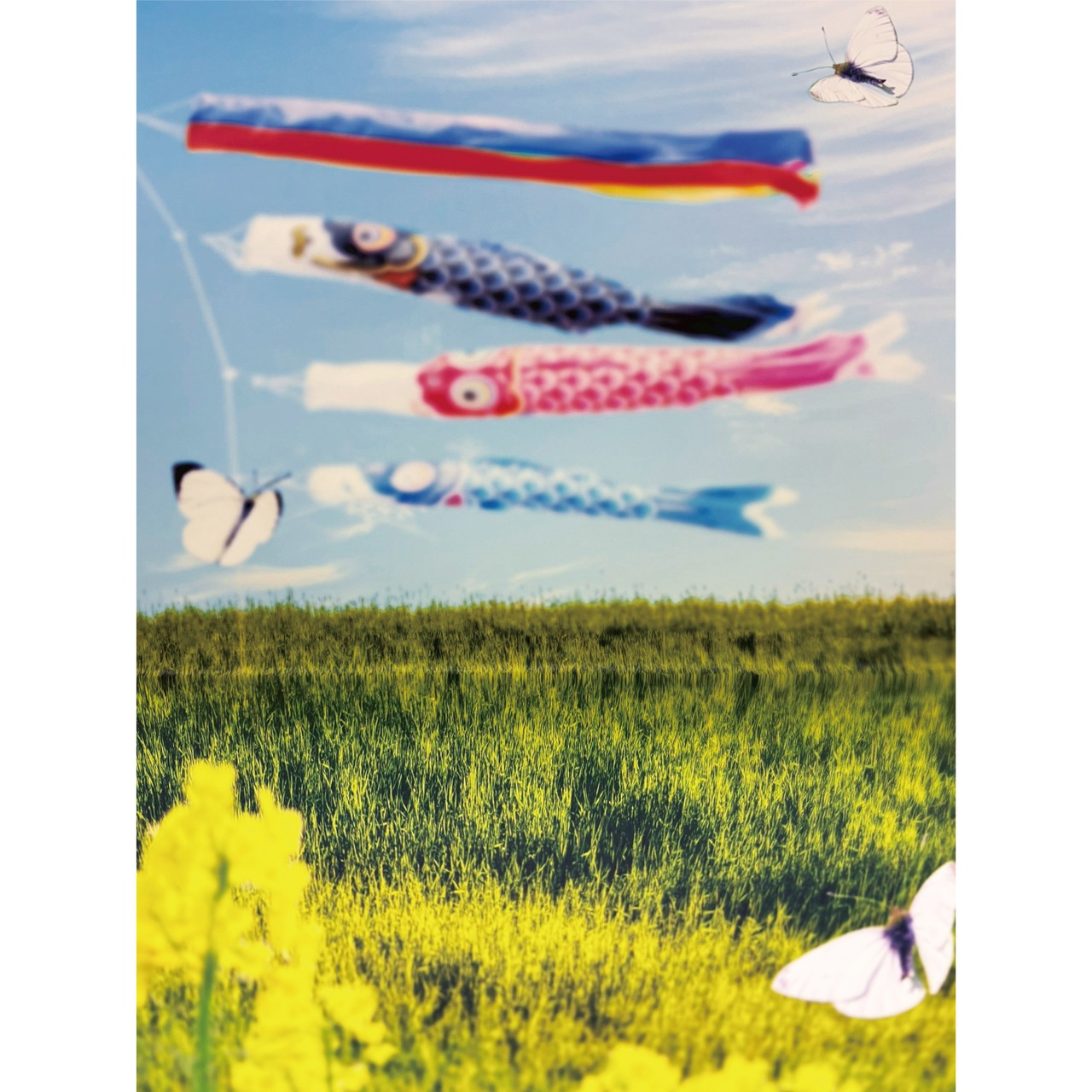 【A1サイズ】5月晴れの鯉のぼり