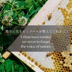 《蜜菓子》6袋でさらにお得！｜大阪梅田はちみつ檸檬のど飴