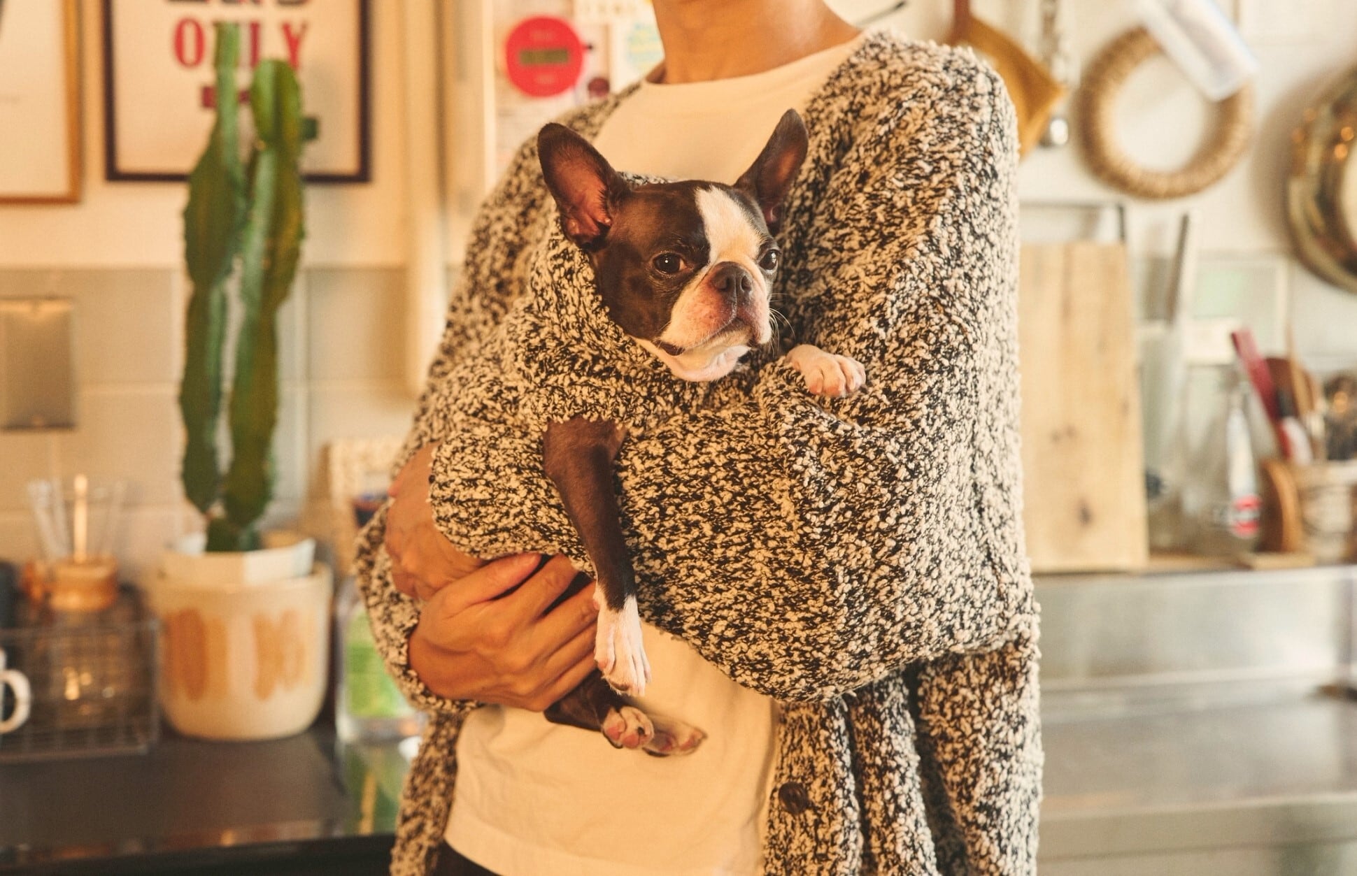 SNOW MELANGE KNIT CARDIGAN