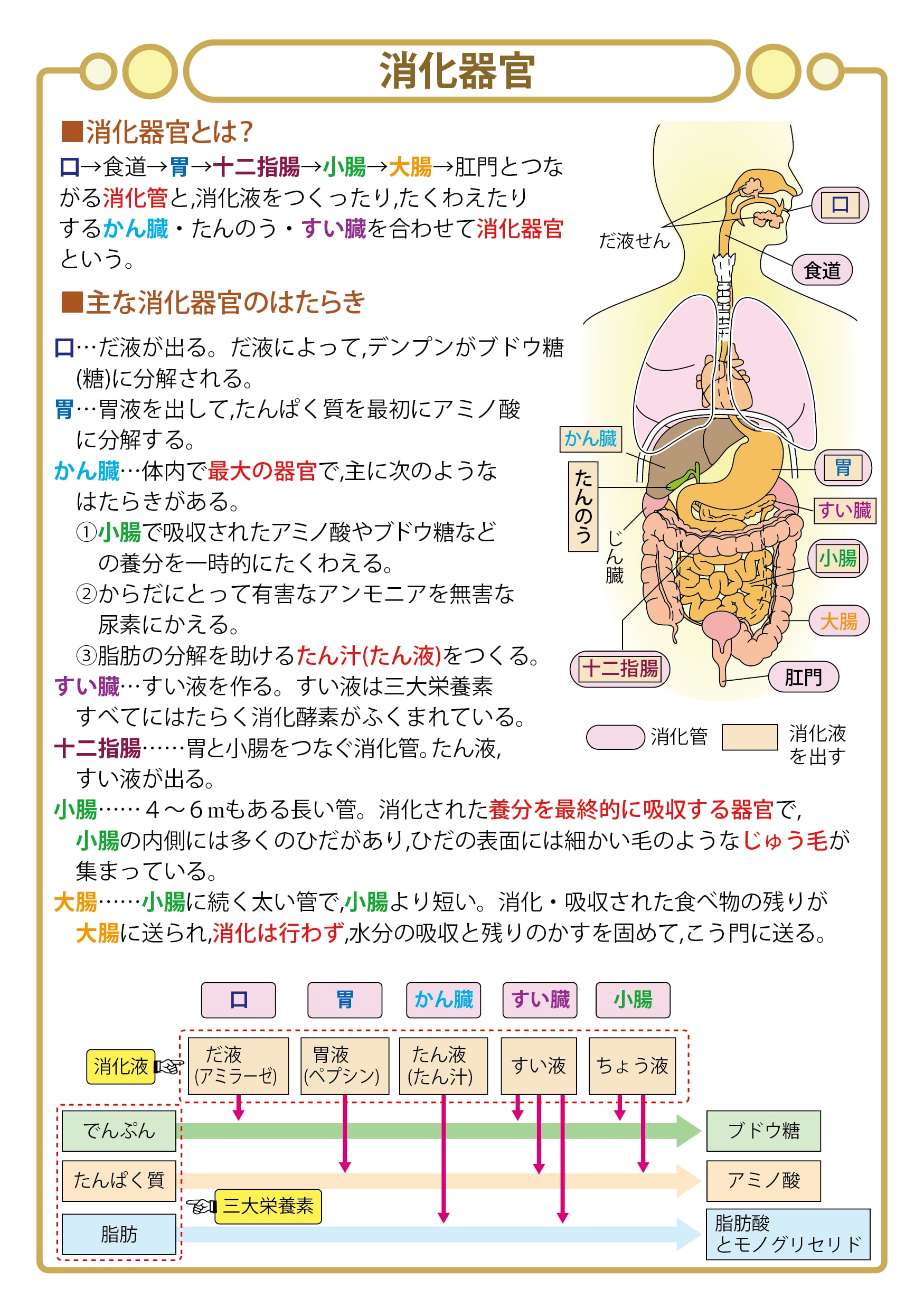 お買い得セット「中学受験・頻出用語・ポイントにしぼったまとめ お買い得セット「中学受験・頻出用語・ポイントにしぼったまとめ