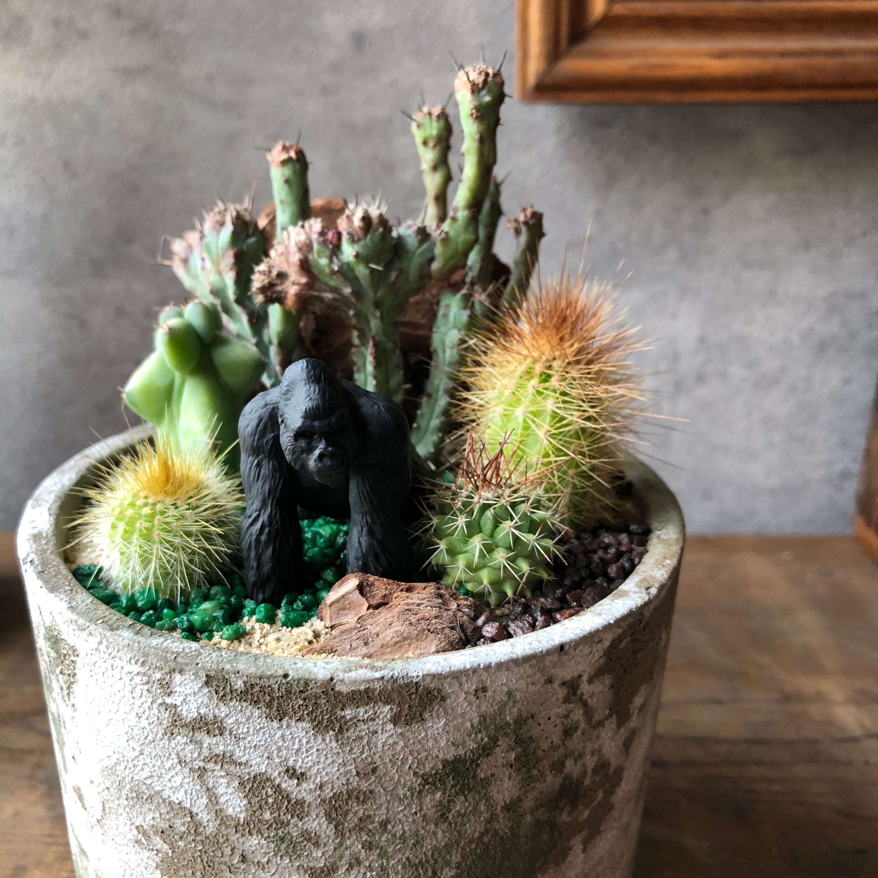 Gorilla ゴリラ mini | SABOTEN MISSILE