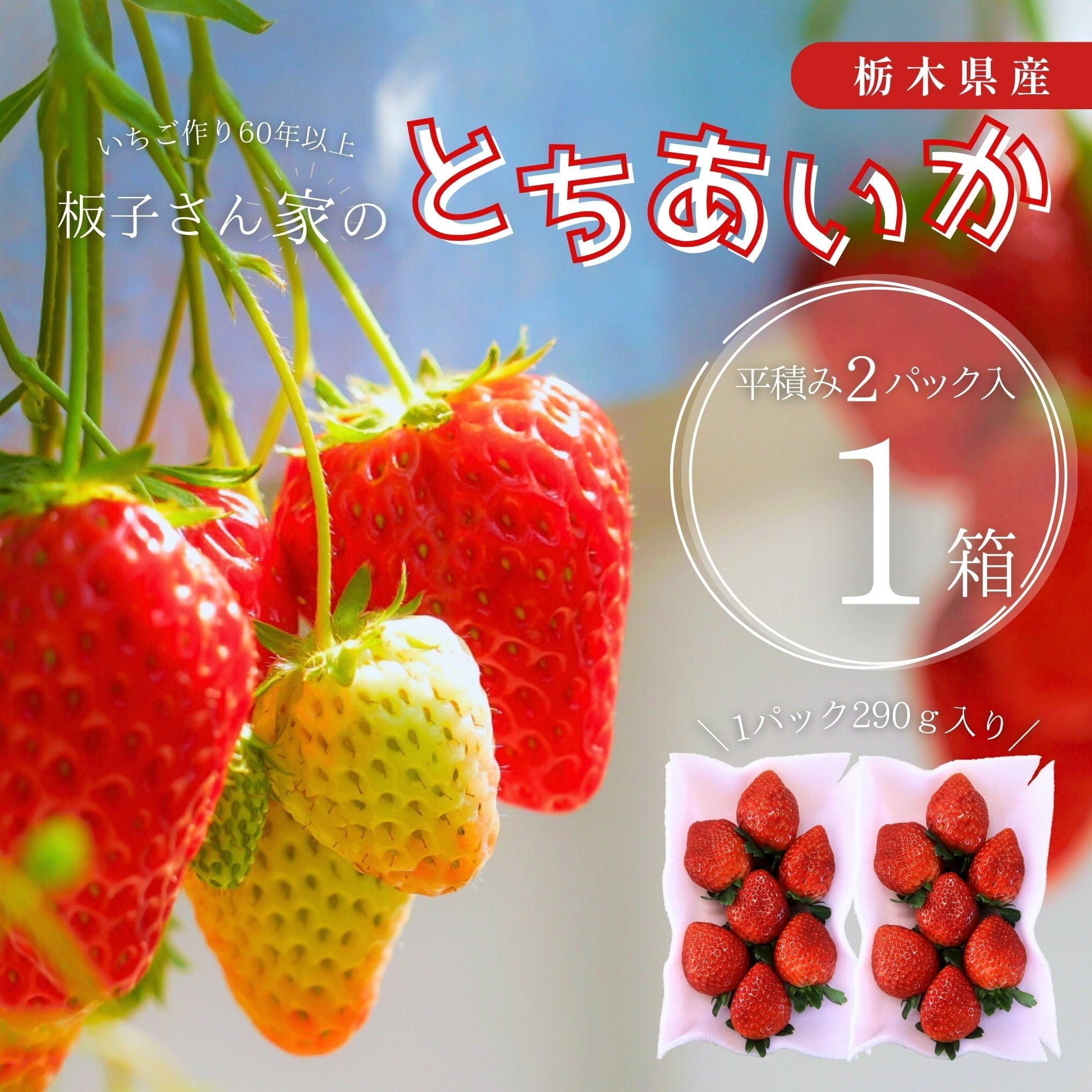 とちあいか（平積み2パック）1箱 | 板子いちご園｜産直通販「あるよ