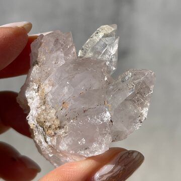 ✩.*˚ガーデン共生ルチル スフィア ✩.*˚ 極上品】ゴールドルチルスフィア 丸玉ガーデン共生約4.7cm