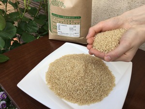 ファーム奥和田　地元奈良の玄米