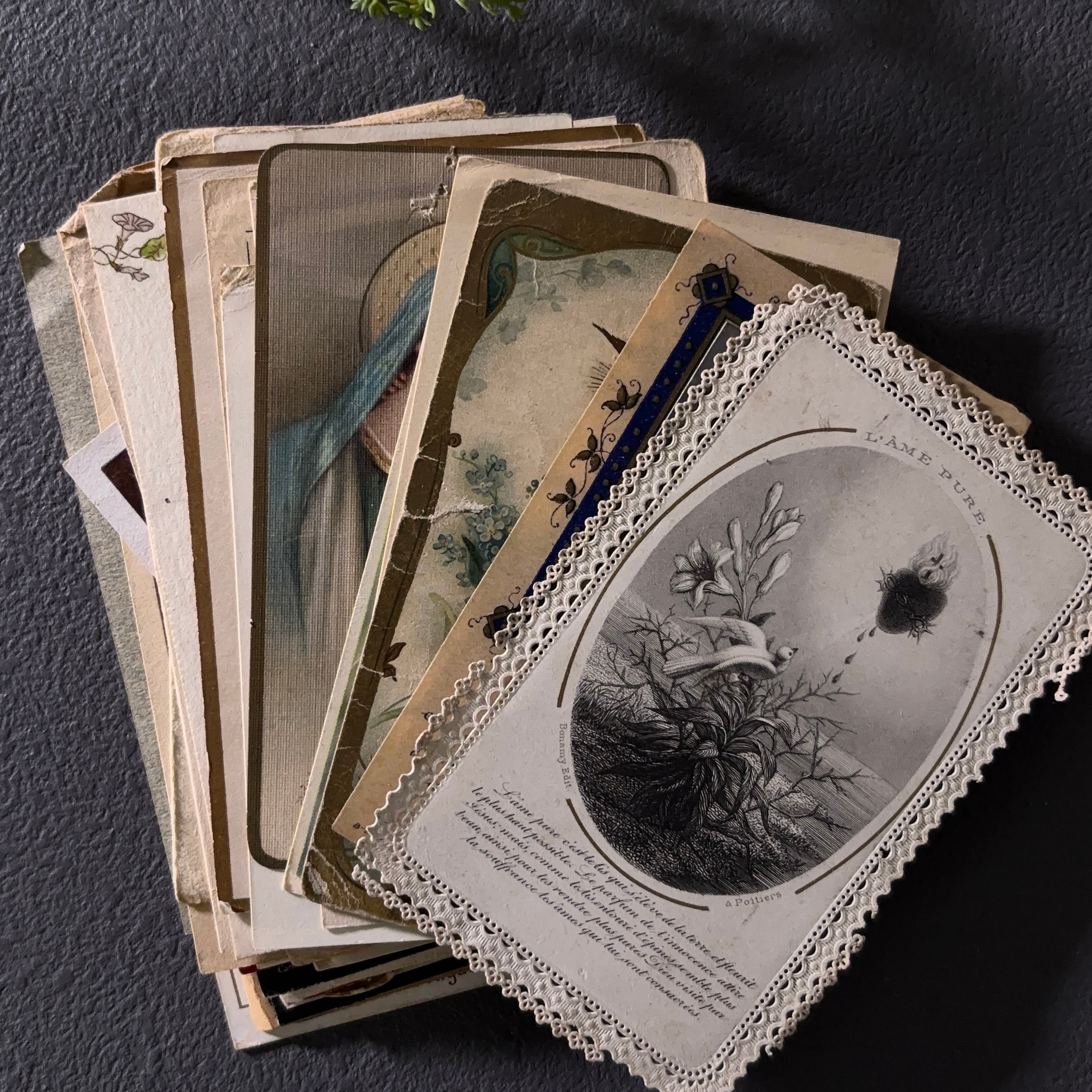 専用【紙物★B様】200枚 未使用 薬袋 古い フランス ヴィンテージ 紙物 紙モノ - 人気のファイヤーキング ジェダイなどを取り扱い「AG