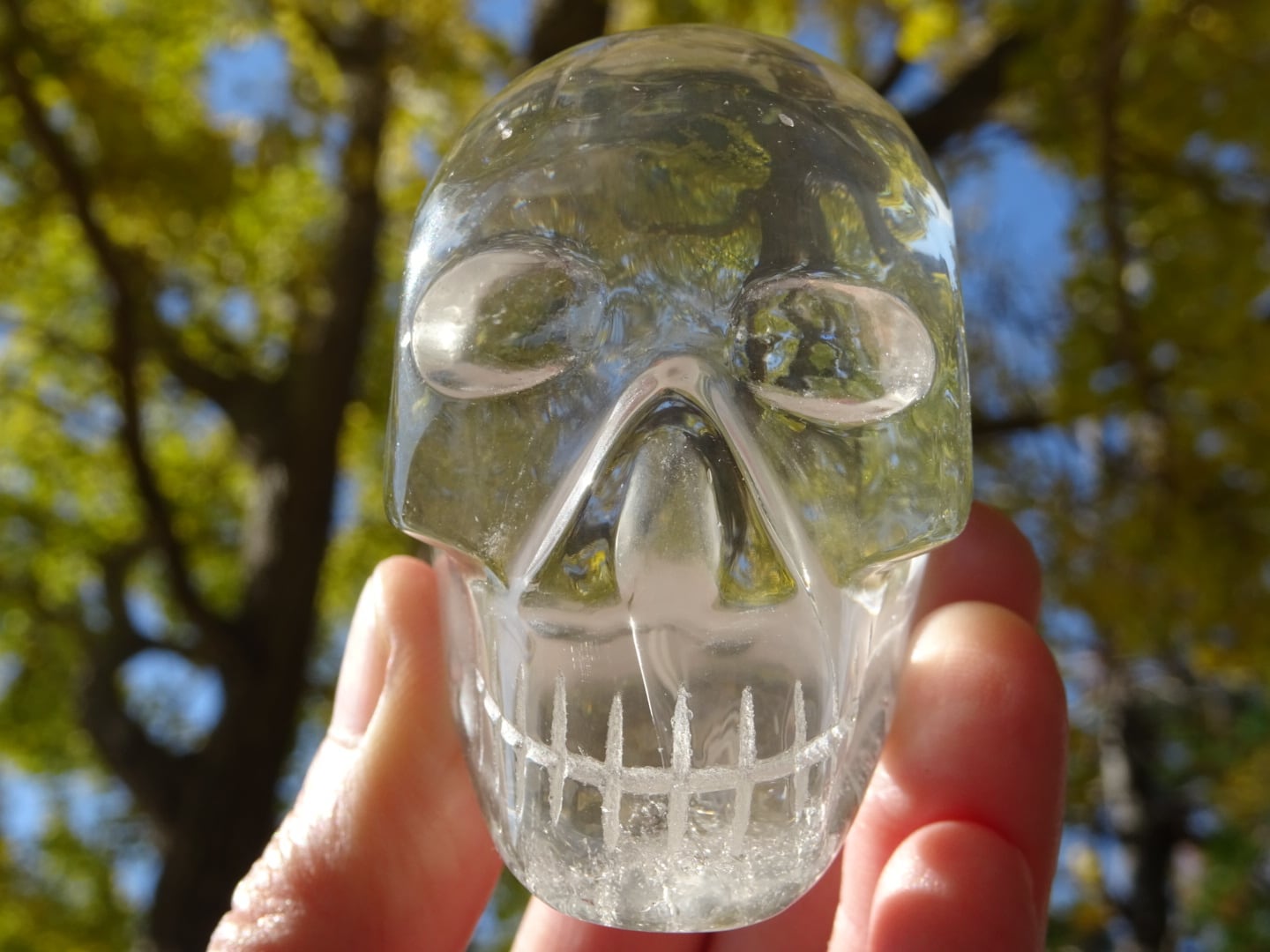 クリスタルスカル(Large) ~Lightness~