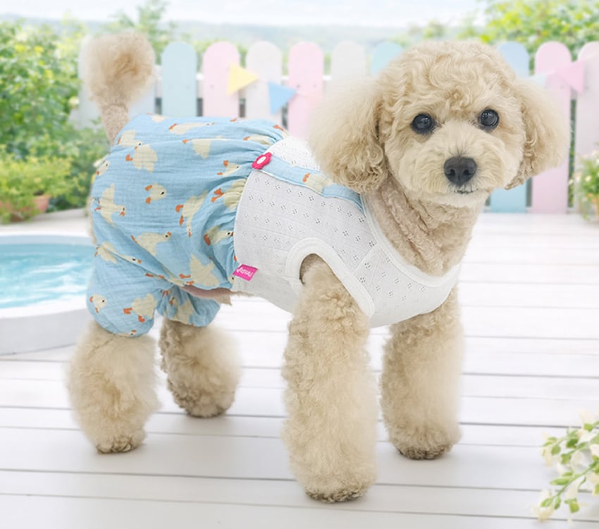 picnic all in one /  犬の服 春夏 新作 オールインワン 涼しい ロンパース ペット洋服 可愛い ドッグウェア 犬服 シンプル 伸縮性 お出かけ 袖なし 韓国 ワンコ服