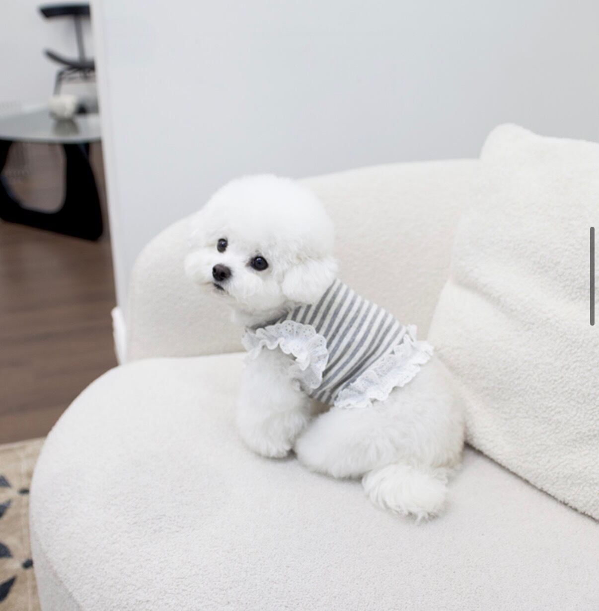 【Cocm Chien 】ペペクロップ