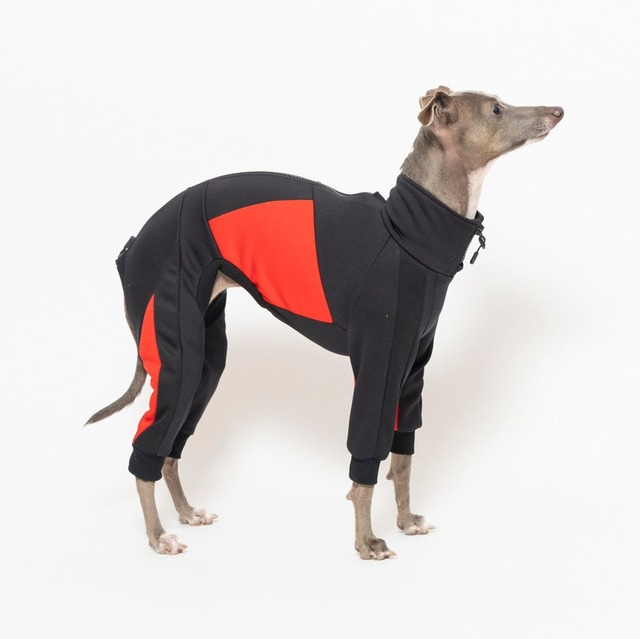 ドッグランジャージ　black × red  / イタグレ服