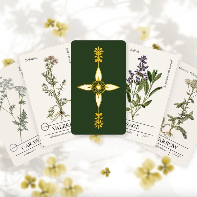 【セカンドシーズン　約1〜3日以内の発送お手続き】ATHENA HERBARIUM ORACLE CARD ◆ アテナから。薬草のお知らせ ハーバリウムオラクル