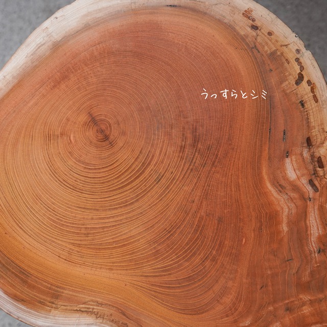 欅の輪切り コーヒーテーブル④（高さ・カラー変更無料）