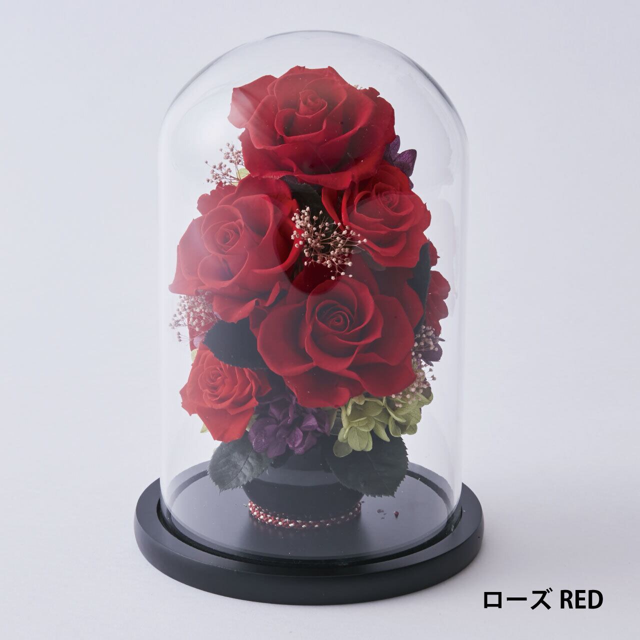 新作 プリザーブドフラワー 胡蝶蘭 御祝 ガラスドーム 名入れ 三本立ち お祝い 記念日 記念品 お供え お悔やみ 法事 就任祝い 退職祝 おしゃれ 送料無料 長寿 御祝い 開業祝 新築祝 誕生日 命日 新盆 贈答品 還暦 傘寿 米寿 古希 喜寿 ブリザード フラワー