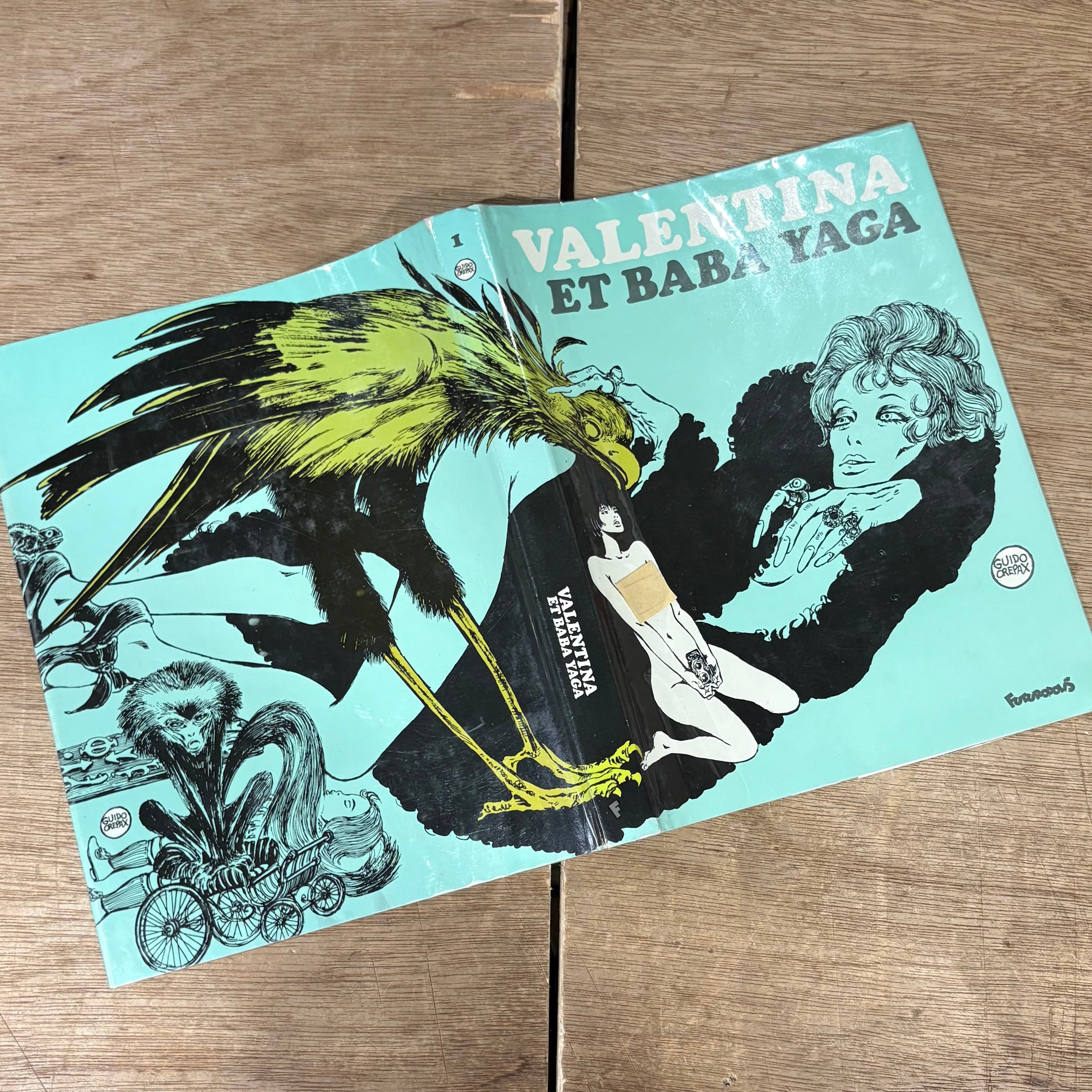 Valentina et Baba Yaga, Le Journal de Valentina, Valentina au