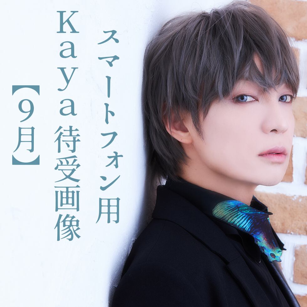 Schwarz Stein】Reincarnation（CD/miniAlbum） | GOODS SHOP