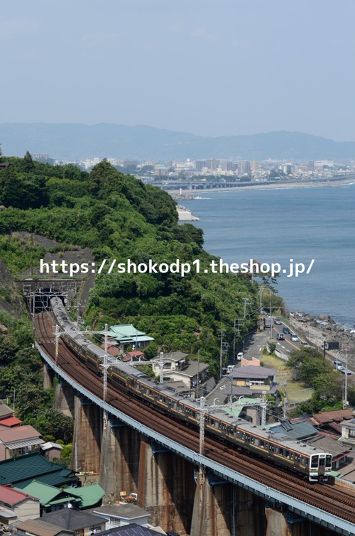 211系と海辺の街_DSC6093