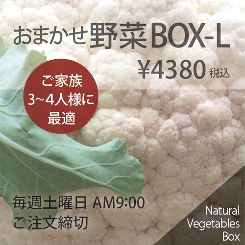 おまかせ野菜BOX - Lサイズ