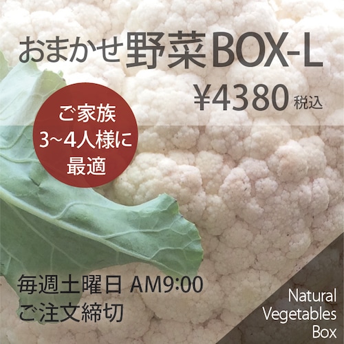 おまかせ野菜BOX - Lサイズ