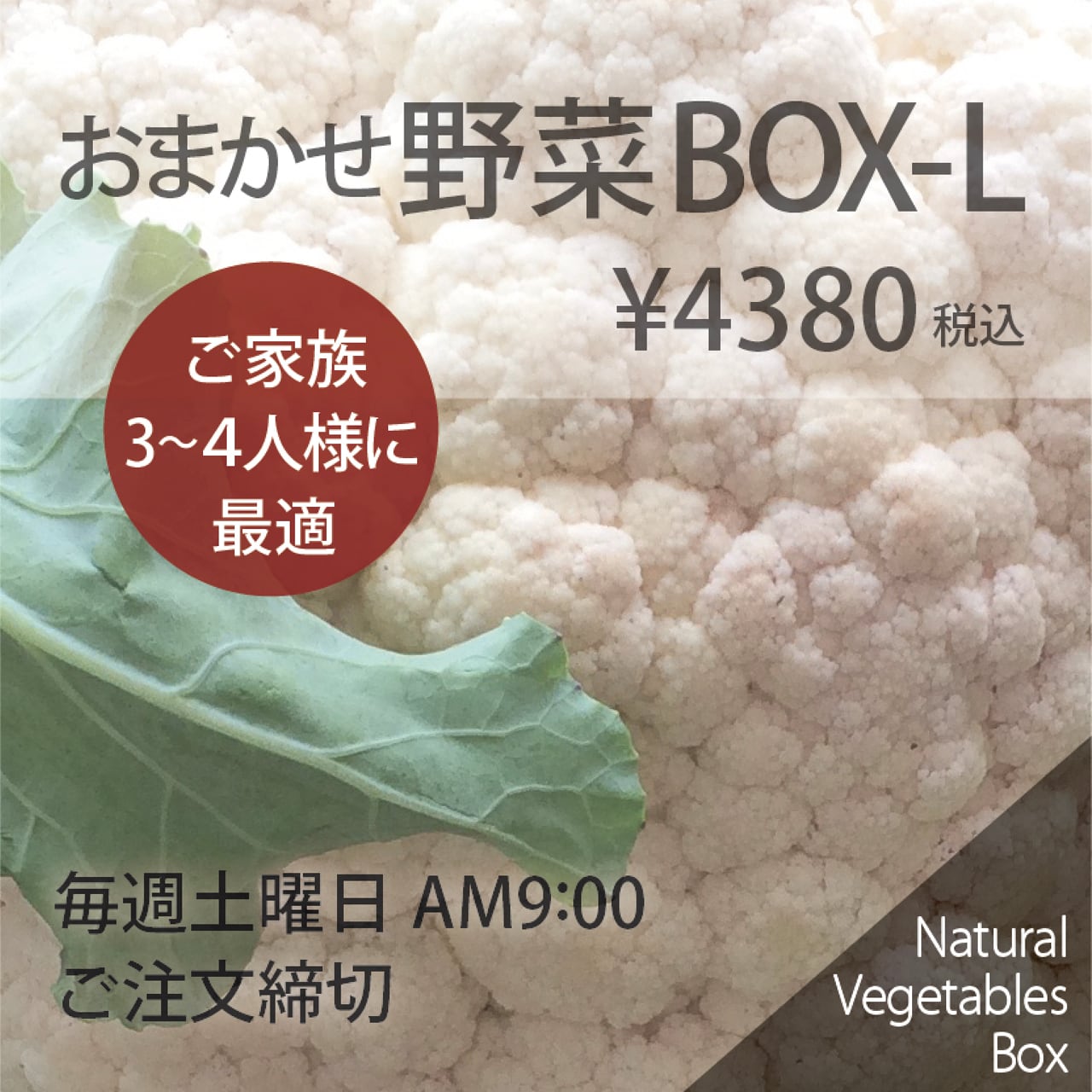 Lサイズ　おまかせ野菜BOX　ポム・ド・テール