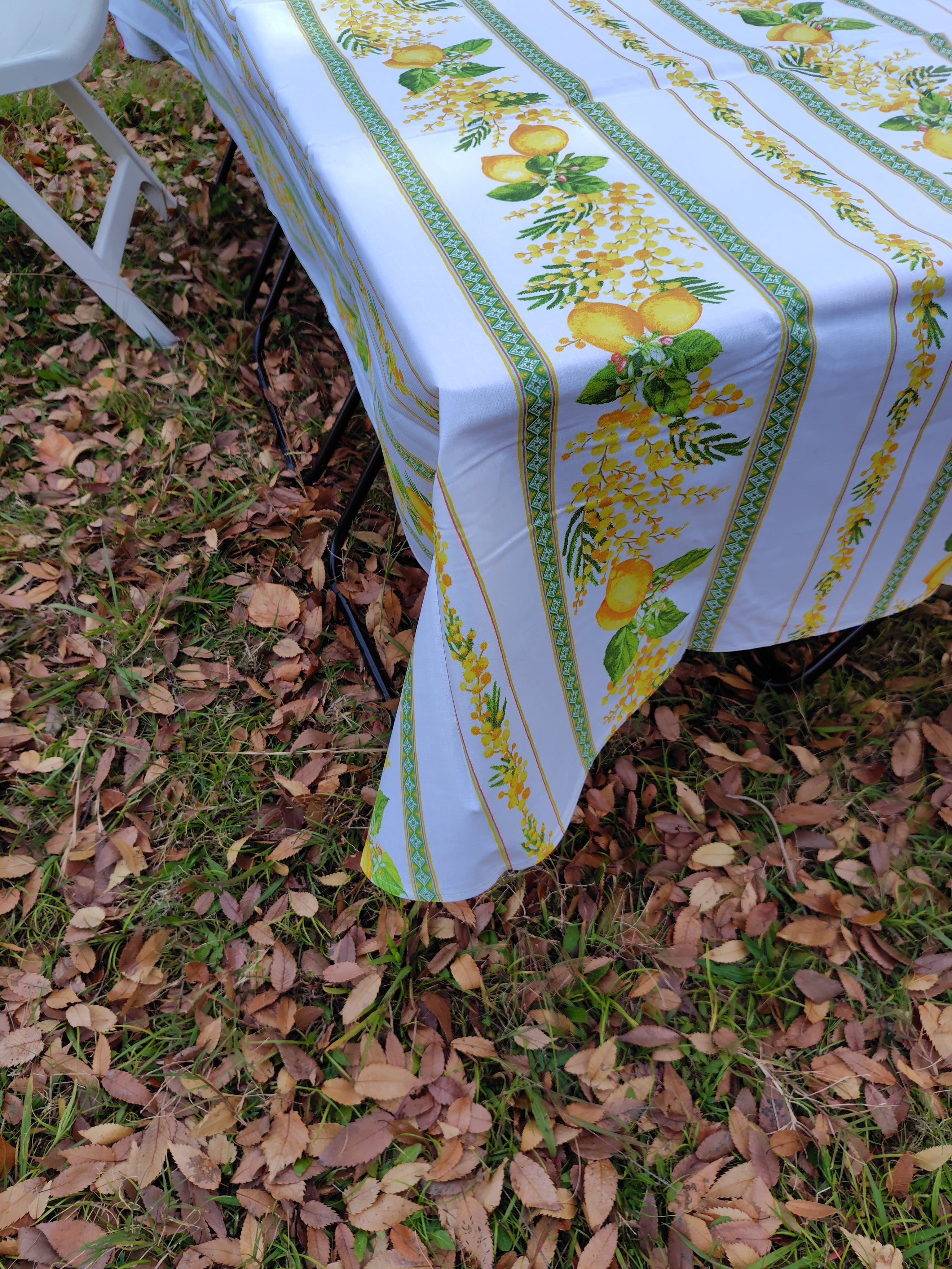 南仏プロバンスのテーブルクロス ファビウス