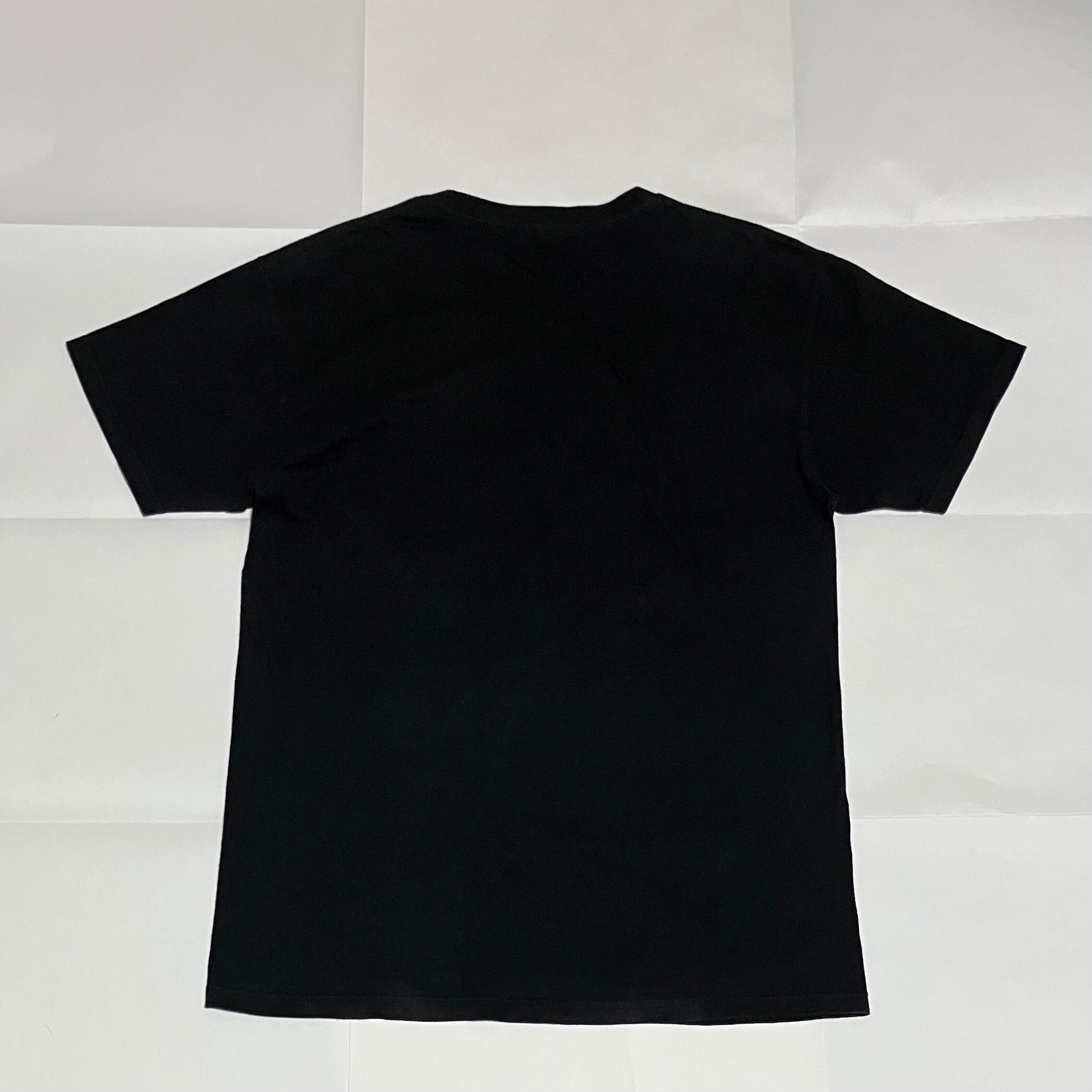 人気】PINK FLOID ピンクフロイド バンドTシャツ 虹ロゴ メンズ