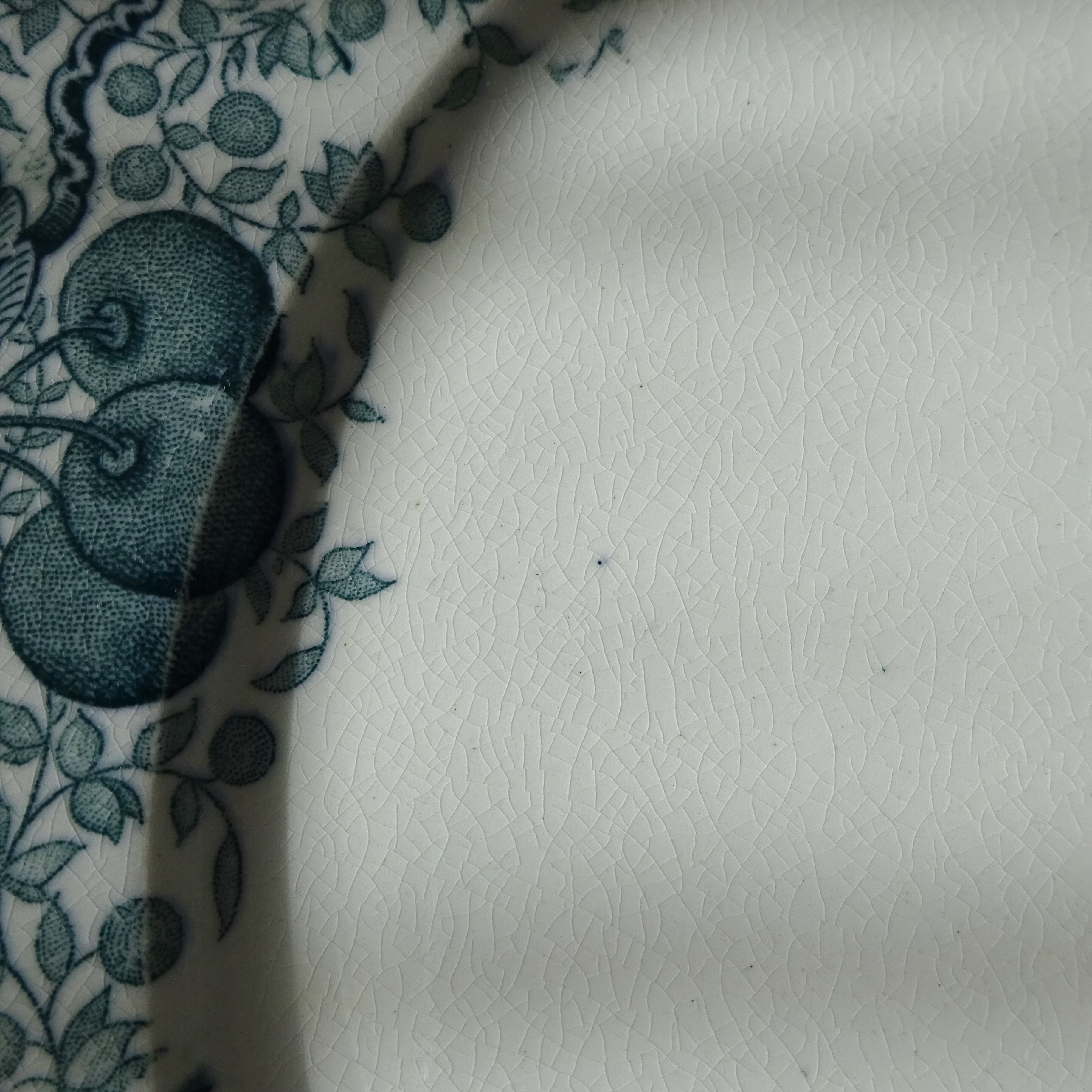 【 Épuisé 】T.F. Badonviller  modèle《CERISES》assiette plate (B)