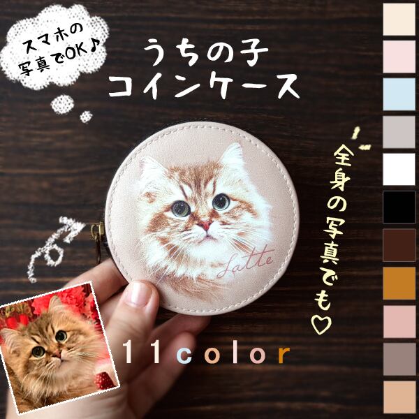 小動物の処方集 CD未開封 小動物の処方集 CD未開封 【公式通販】