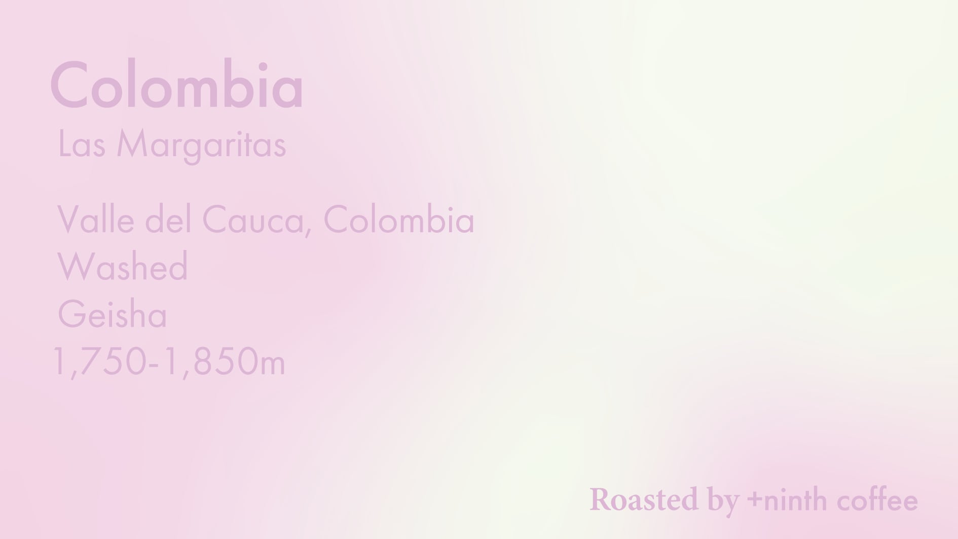 Colombia Las Margaritas, Geisha - Washed 50g