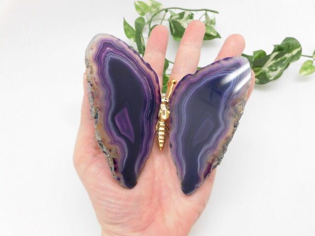 【瑪瑙】　ゴージャス蝶々　no.1