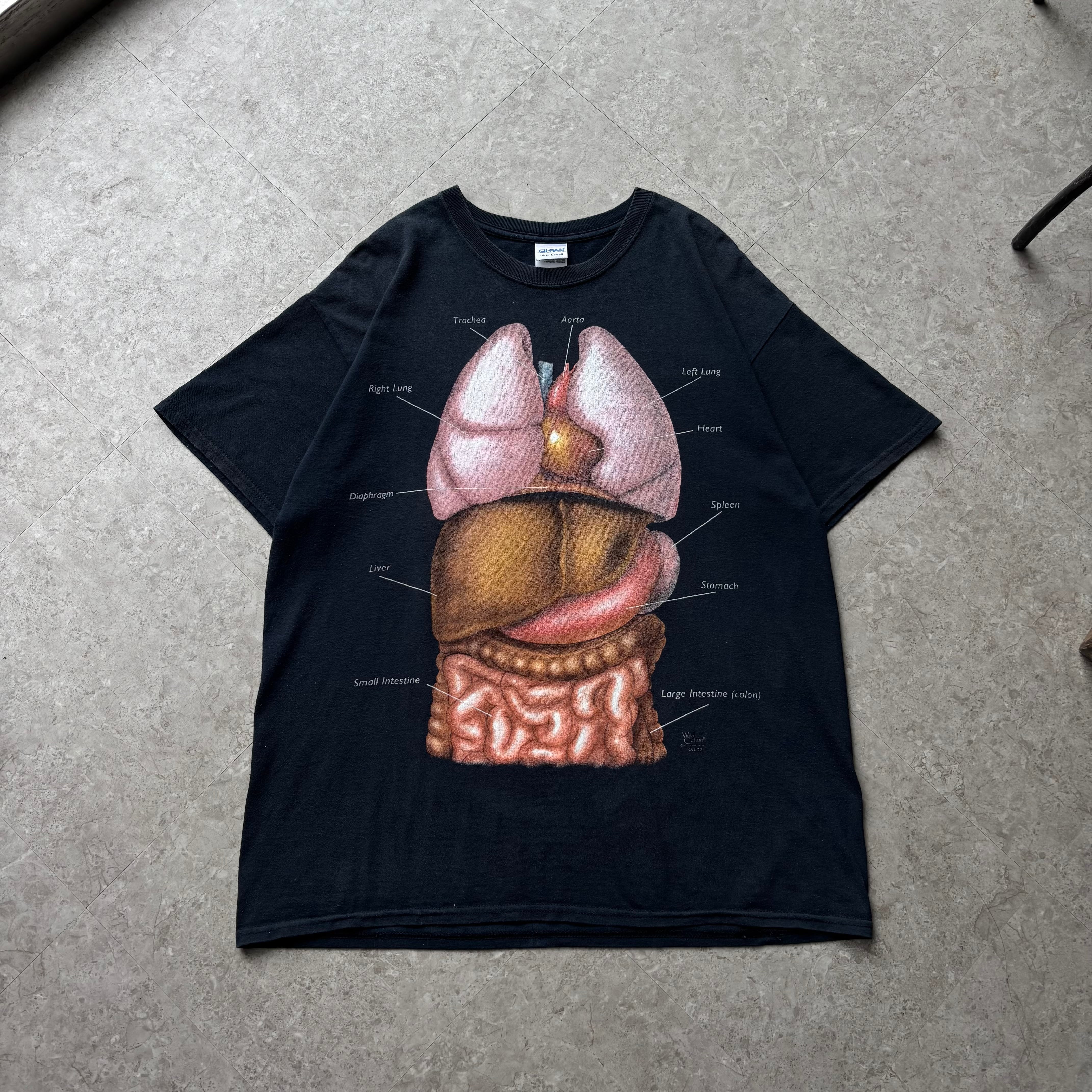 00s Erotic Art "Dick silhouette" Anatomical T-shirt【仙台店】